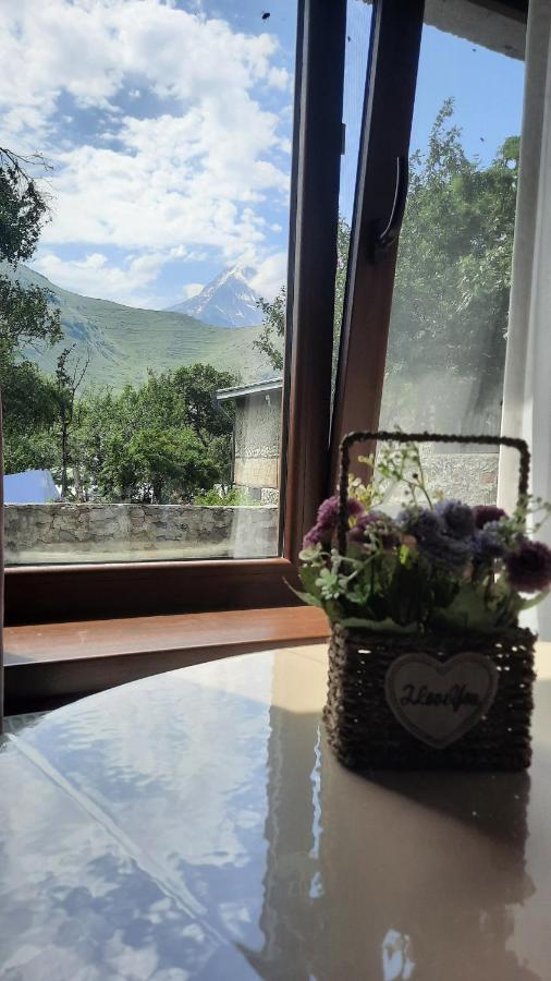 Apartments Gio-Nika Kazbegi Esterno foto